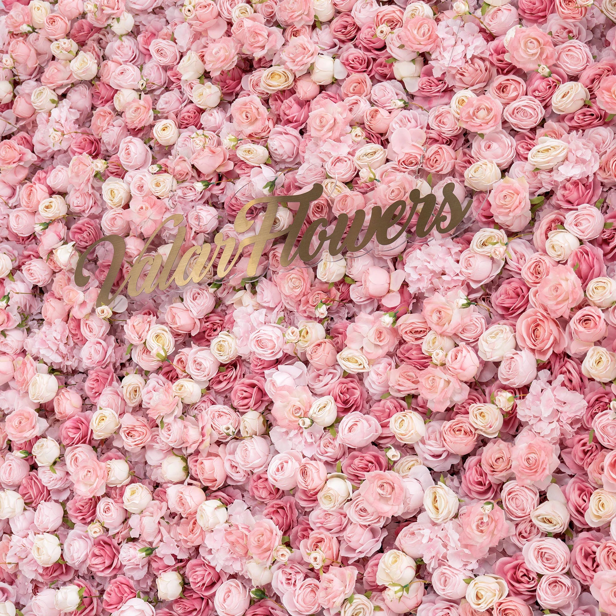 5D Pink Rose Roll-Up Flower Wall Backdrop for Wedding & Party Celebration Decor VF-501